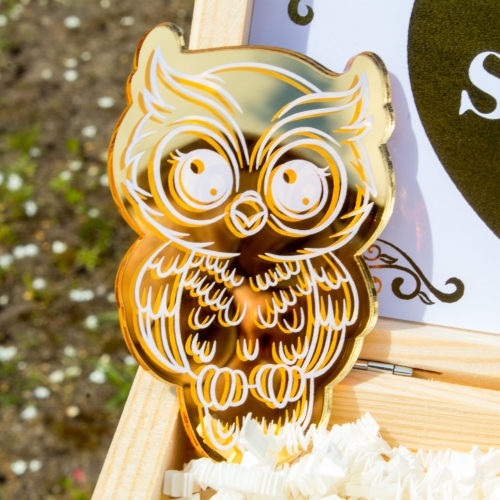 Złoty box prezentowy dla nauczyciela magnes sowa i czekoladki na podziękowanie