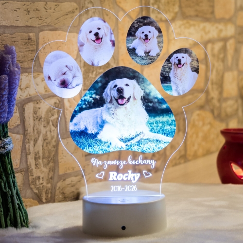 Lampka LED z łapką zwierzaka pamiątka po ukochanym psie lub kocie