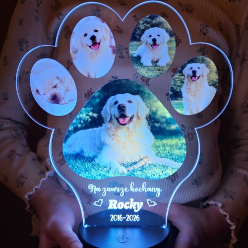 Lampka LED z łapką zwierzaka pamiątka po ukochanym psie lub kocie