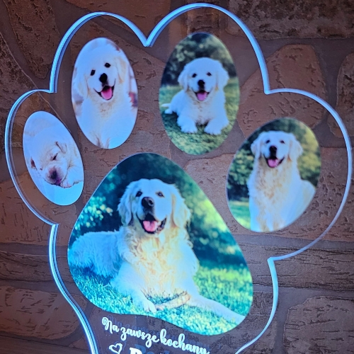 Lampka LED z łapką zwierzaka pamiątka po ukochanym psie lub kocie