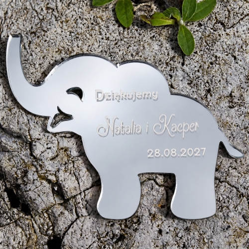 Podziękowania dla Gości na Ślub Srebrny Magnes Słoń 3D z Imionami